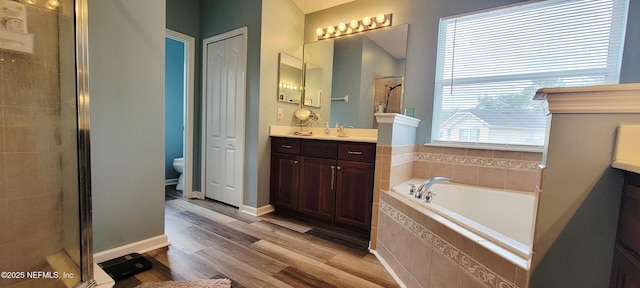 1691 Canopy Oaks Dr, Orange Park, FL 32065 - full bath with vanity, a stall shower, a garden tub, toilet, and wood finished floors