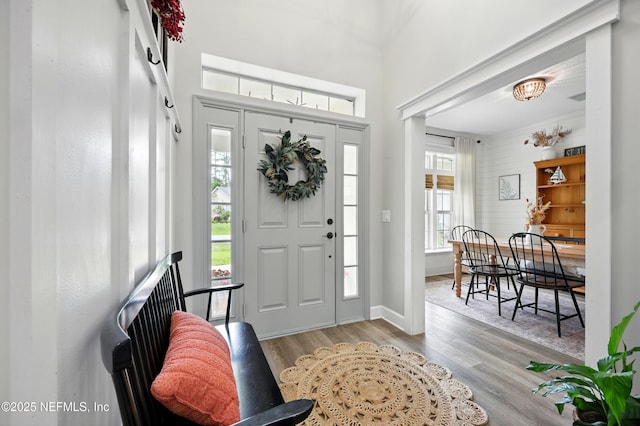 309 Elza Ln, Saint Augustine, FL 32086 - entryway with wood finished floors, a towering ceiling, and baseboards