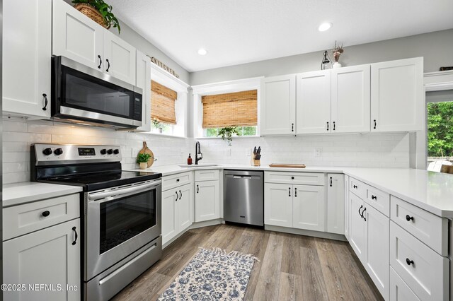 309 Elza Ln, Saint Augustine, FL 32086 - kitchen featuring stainless steel appliances, a sink, light countertops, white cabinetry, and recessed lighting