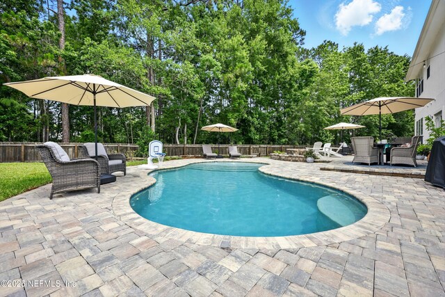 309 Elza Ln, Saint Augustine, FL 32086 - view of swimming pool with a patio, a fenced backyard, and view of wooded area