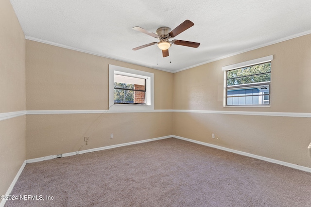 4841 Doncaster Ave, Jacksonville, FL 32208 - photo 20