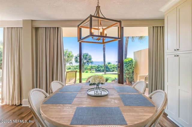 1185 Beach Walker Rd Unit 1185, Fernandina Beach, FL 32034 - dining room featuring a chandelier, dark wood-style floors, and a textured ceiling