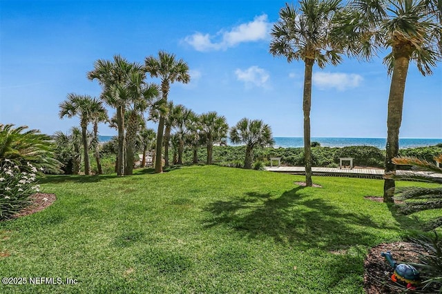 1185 Beach Walker Rd Unit 1185, Fernandina Beach, FL 32034 - view of green lawn with a water view