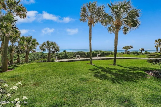 1185 Beach Walker Rd Unit 1185, Fernandina Beach, FL 32034 - view of home's community with a yard and a water view
