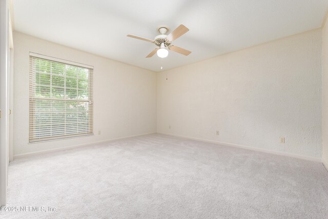 8691 San Servera Dr W, Jacksonville, FL 32217 - photo 60