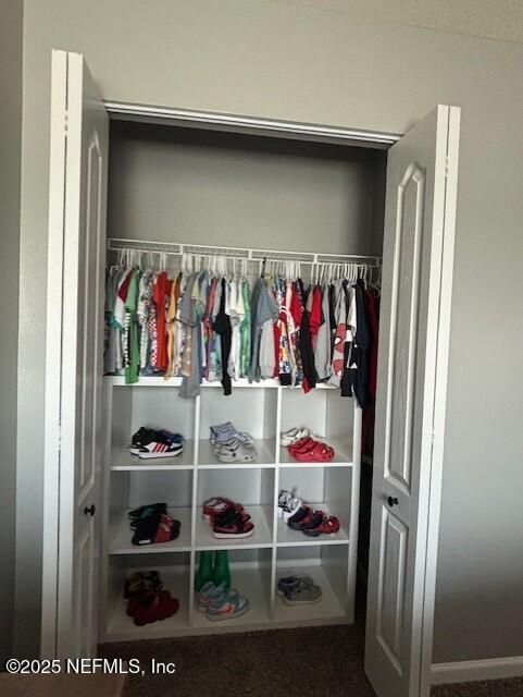 2358 Evening Oaks Ln, Green Cove Springs, FL 32043 - view of closet