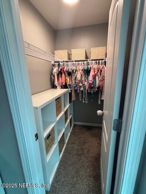 2358 Evening Oaks Ln, Green Cove Springs, FL 32043 - spacious closet featuring dark carpet