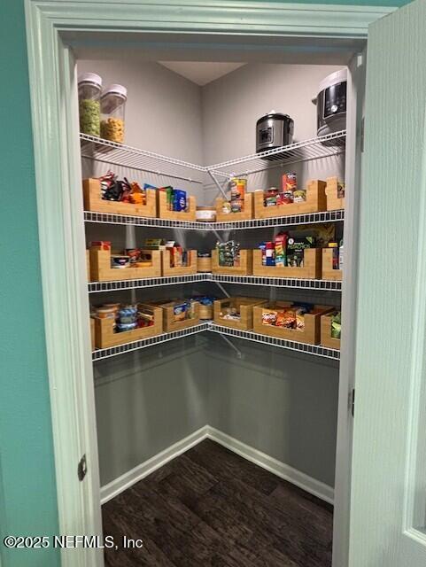 2358 Evening Oaks Ln, Green Cove Springs, FL 32043 - view of pantry