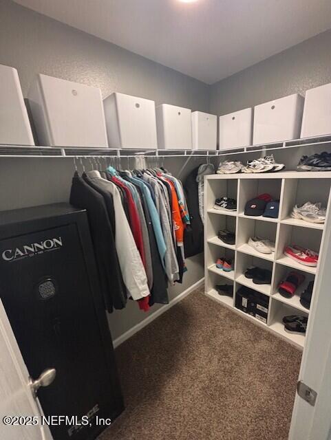2358 Evening Oaks Ln, Green Cove Springs, FL 32043 - spacious closet featuring carpet floors