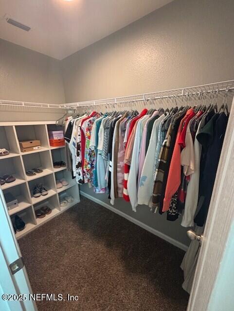 2358 Evening Oaks Ln, Green Cove Springs, FL 32043 - walk in closet with carpet floors