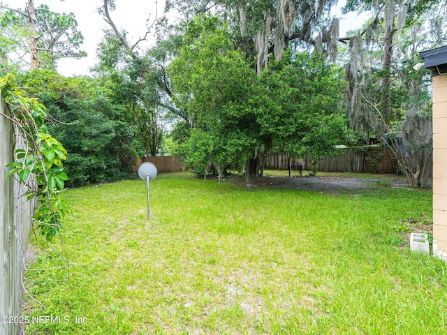 10416 Keuka Dr, Jacksonville, FL 32218 - photo 10