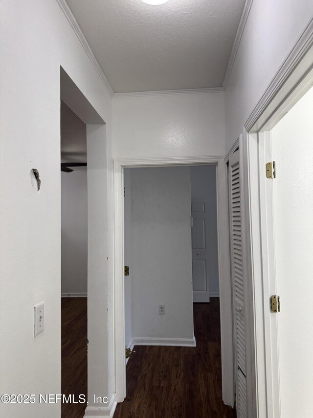 4935 Islamorada Ln # 208, Jacksonville, FL 32256 - photo 76