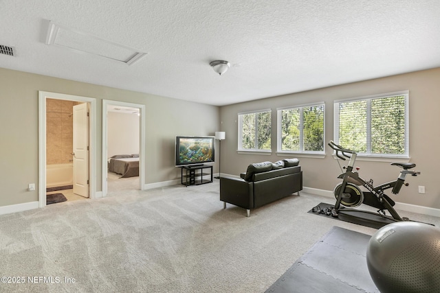 117 S Durbin Pkwy, Saint Johns, FL 32259 - exercise area with attic access, a textured ceiling, carpet floors, and baseboards