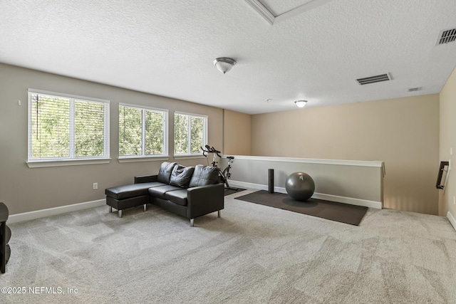 117 S Durbin Pkwy, Saint Johns, FL 32259 - sitting room featuring healthy amount of natural light, an upstairs landing, carpet flooring, and a textured ceiling