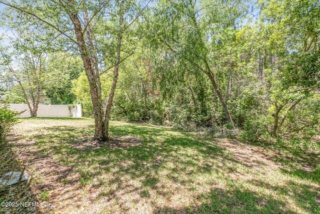117 S Durbin Pkwy, Saint Johns, FL 32259 - view of yard