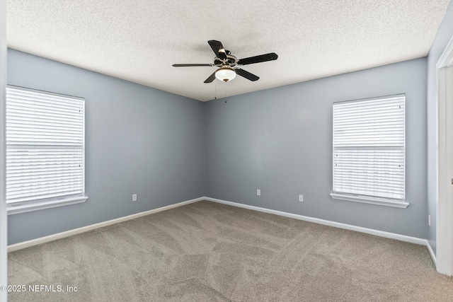 2602 Carson Oaks Dr, Jacksonville, FL 32221 - photo 6