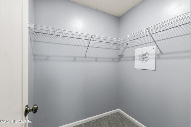 2602 Carson Oaks Dr, Jacksonville, FL 32221 - photo 32