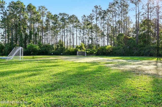 372 Johns Creek Pkwy, Saint Augustine, FL 32092 - view of yard with an area for sports