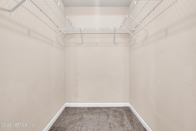 3916 Corrida Ct Unit 5, Jacksonville, FL 32217 - spacious closet featuring carpet flooring
