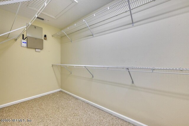 7546 Scarlet Ibis Ln, Jacksonville, FL 32256 - photo 24