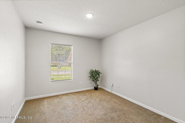 13889 Wild Hammock Trl, Jacksonville, FL 32226 - photo 15