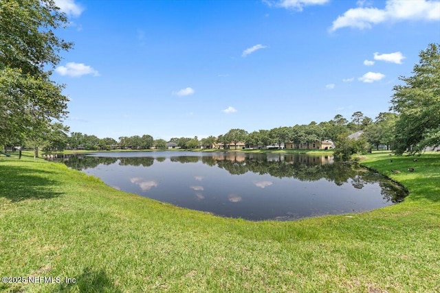13889 Wild Hammock Trl, Jacksonville, FL 32226 - photo 20