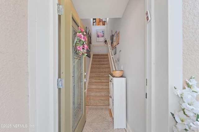 11889 Surfbird Cir Unit 10F, Jacksonville, FL 32256 - view of stairway