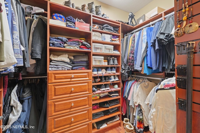 11889 Surfbird Cir Unit 10F, Jacksonville, FL 32256 - spacious closet featuring wood finished floors