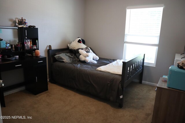 3970 Chimney Swifts Ln, Middleburg, FL 32068 - photo 14