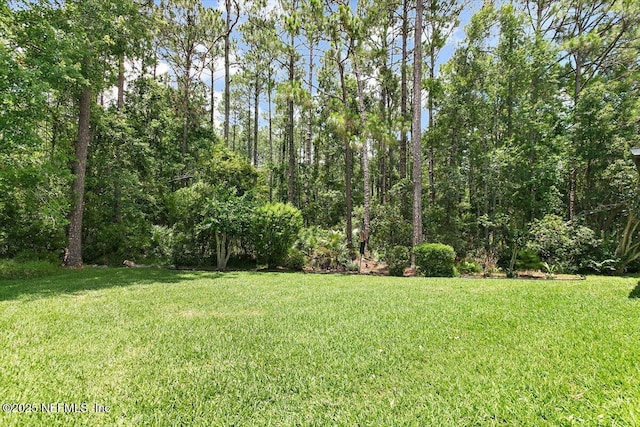 589 Prosperity Lake Dr, Saint Augustine, FL 32092 - view of green lawn