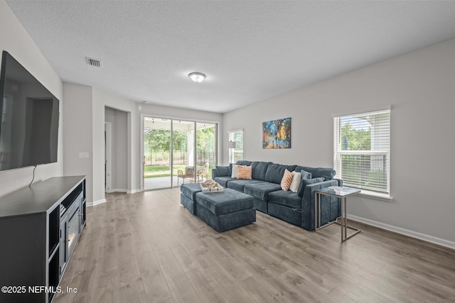 149 Ferndale Way, Saint Augustine, FL 32092 - living room featuring light wood-type flooring, plenty of natural light, baseboards, and a textured ceiling