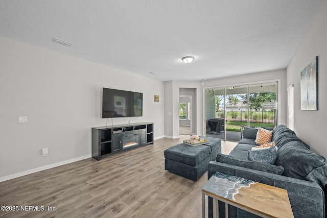 149 Ferndale Way, Saint Augustine, FL 32092 - living room with wood finished floors, baseboards, a textured ceiling, and a glass covered fireplace