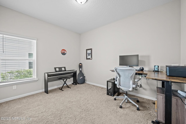 149 Ferndale Way, Saint Augustine, FL 32092 - home office with carpet, baseboards, and a textured ceiling