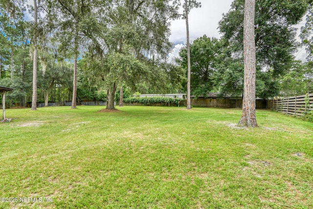 122 Raintree Woods Trl, Palatka, FL 32177 - view of yard featuring view of wooded area