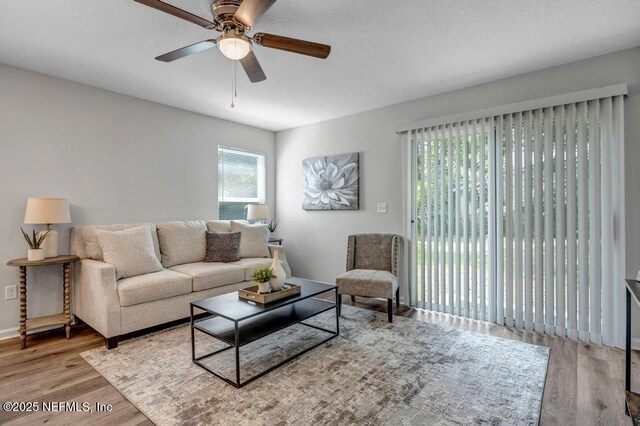9042 Eaton Ave, Jacksonville, FL 32211 - photo 3