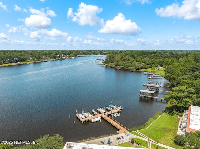 5811 Atlantic Blvd Unit 153, Jacksonville, FL 32207 - drone / aerial view of a nearby body of water