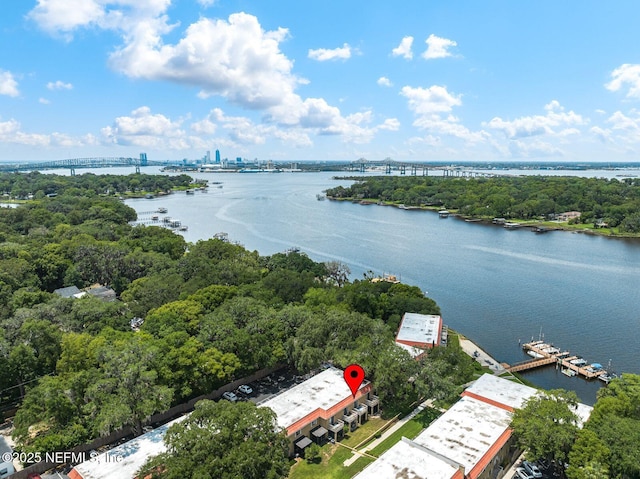 5811 Atlantic Blvd Unit 153, Jacksonville, FL 32207 - drone / aerial view of a notable bridge and a nearby body of water
