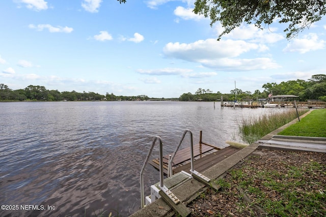 5811 Atlantic Blvd Unit 153, Jacksonville, FL 32207 - dock area with a water view