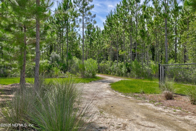 80 Atlas Dr, Saint Augustine, FL 32092 - view of street with a forest view