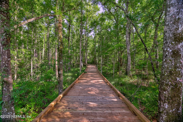 80 Atlas Dr, Saint Augustine, FL 32092 - view of home's community with a view of trees