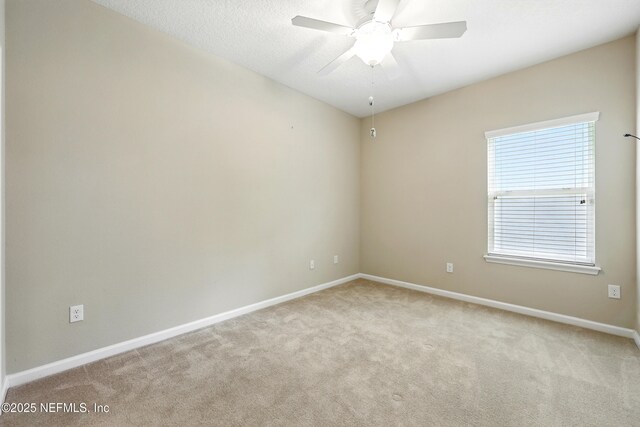 229 White Marsh Dr, Jacksonville, FL 32081 - photo 37