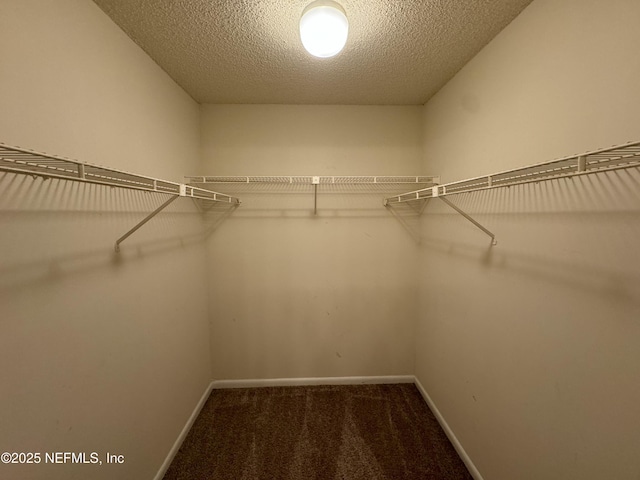 5615 San Juan Ave Unit 608, Jacksonville, FL 32210 - photo 11