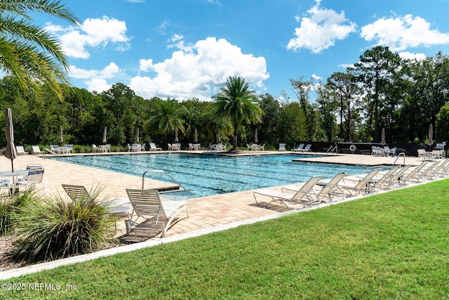3653 Oglebay Dr, Green Cove Springs, FL 32043 - community pool with a lawn, a patio, and view of wooded area