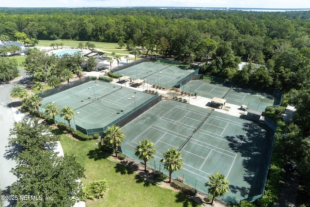 3653 Oglebay Dr, Green Cove Springs, FL 32043 - drone / aerial view of a heavily wooded area and a pool area