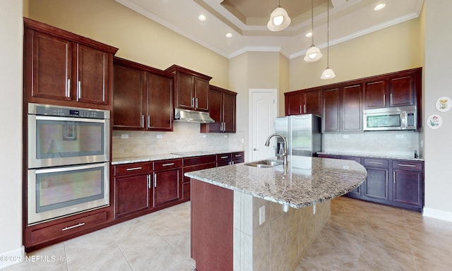 3653 Oglebay Dr, Green Cove Springs, FL 32043 - kitchen with stainless steel appliances, a sink, ornamental molding, a high ceiling, and under cabinet range hood