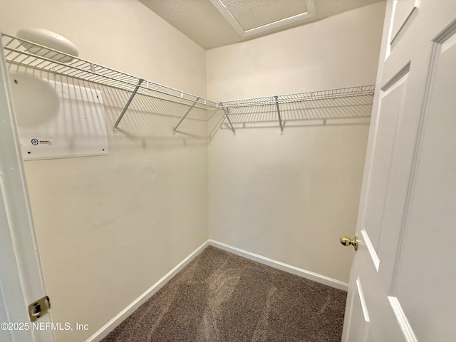 6788 Manotak Oaks Dr Unit 207, Jacksonville, FL 32210 - photo 20