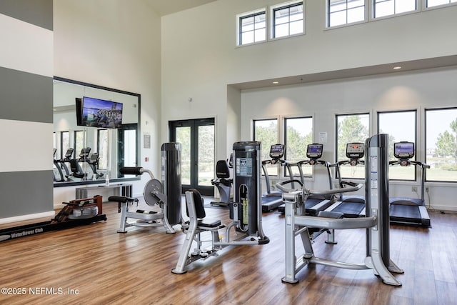212 Foxcross Ave, Saint Johns, FL 32092 - workout area with a high ceiling, healthy amount of natural light, wood finished floors, and french doors