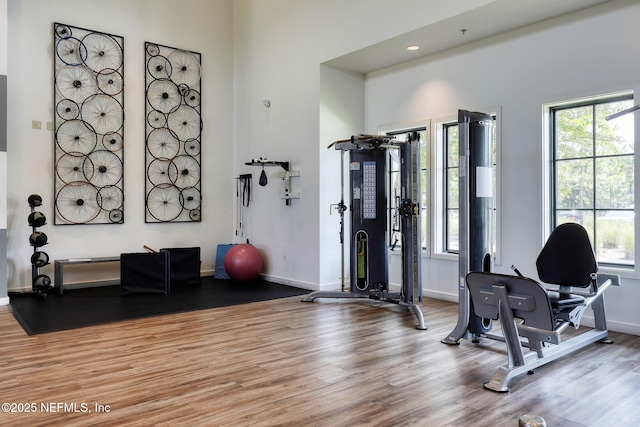 212 Foxcross Ave, Saint Johns, FL 32092 - exercise room featuring wood finished floors, plenty of natural light, baseboards, and recessed lighting