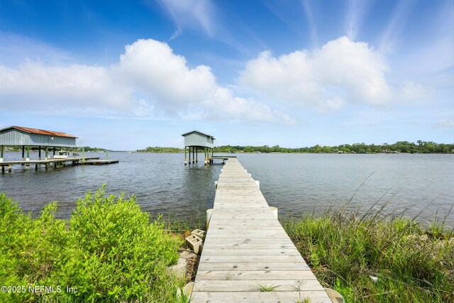 9940 Carbondale Dr W, Jacksonville, FL 32208 - photo 40