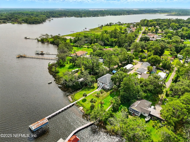 9940 Carbondale Dr W, Jacksonville, FL 32208 - photo 46